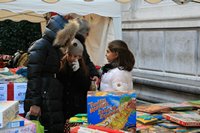 Rigiocattolo 2008