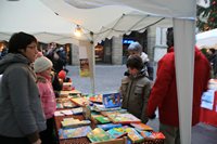 Rigiocattolo 2008
