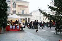 Rigiocattolo 2008