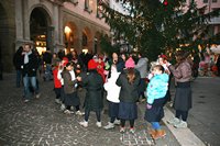 Rigiocattolo 2008