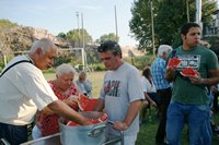 Anguriata di ferragosto