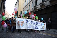 Marcia pace 2014