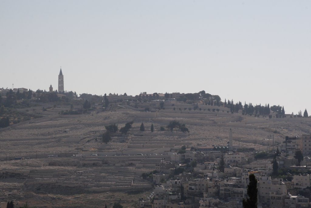 Click per vedere la foto successiva