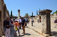Pellegrniaggio in Terra Santa 2017