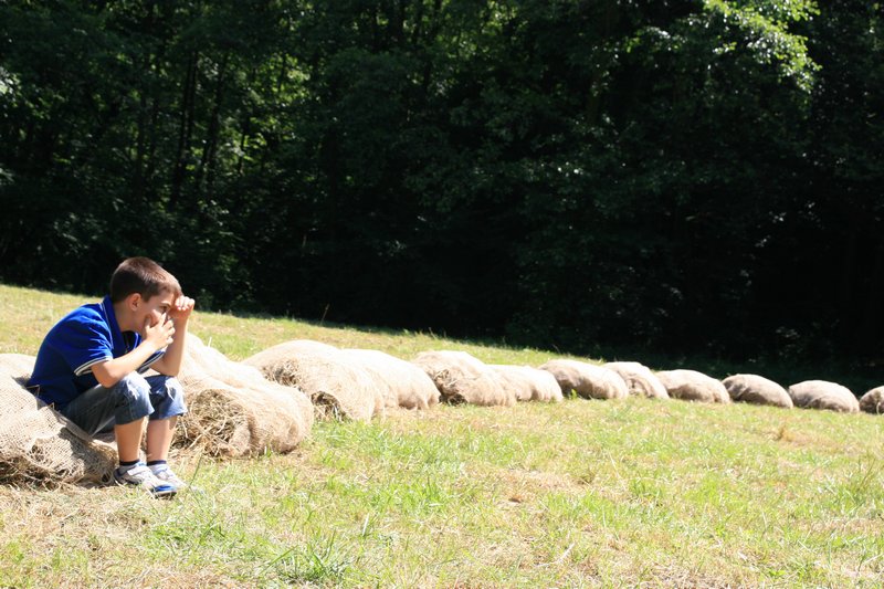 Click per vedere la foto successiva