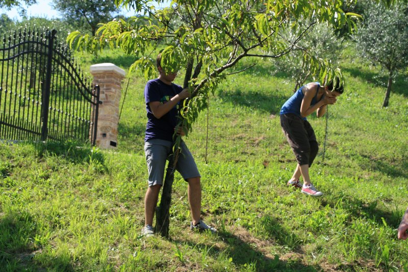 Click per vedere la foto successiva