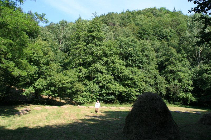 Click per vedere la foto successiva