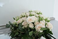 Matrimonio Yu-Han Alberto