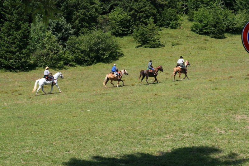 Click per vedere la foto successiva