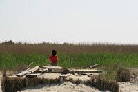 Pasquetta 2011
