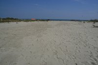 Pasquetta 2011