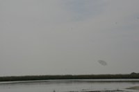 Pasquetta 2011