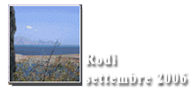 Rodi 2006